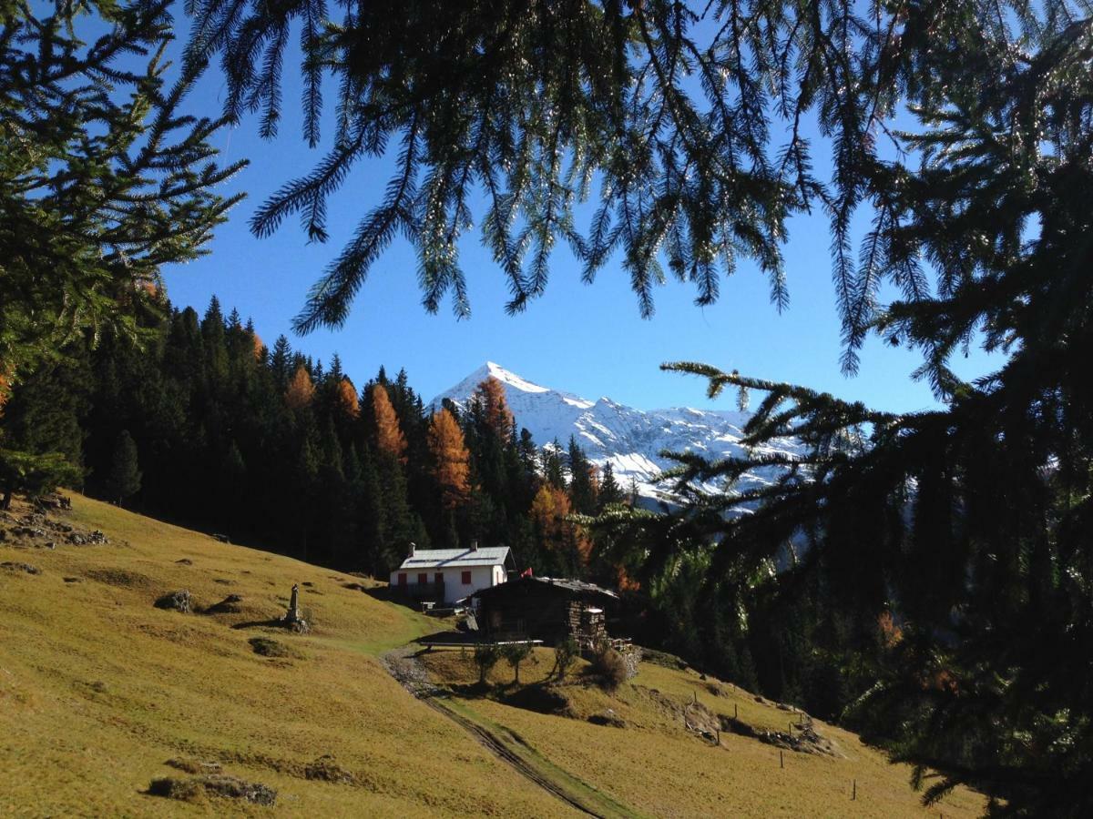 Chalet Del Bosco Valdisotto Buitenkant foto